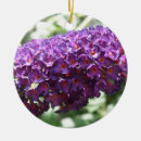 Suche nach schöne blume ornamente Lila