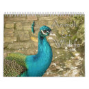 Suche nach wildlife kalender Elch