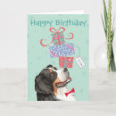 Suche nach bern karten Berner hund