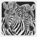 Suche nach zebras aufkleber Für alle