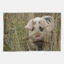 Suche nach rosa schwein geschirr tücher Tiere