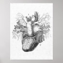 Suche nach vintage anatomie poster Anatomisch