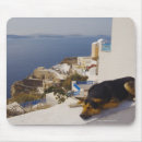 Suche nach reisebestimmungsorte mousepads Tierverhalten