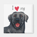 Suche nach labor magnete Labrador retriever