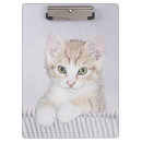 Suche nach tabelle klemmbrett Katze