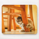 Suche nach stuhl mousepads Katze
