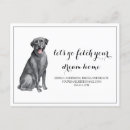 Suche nach lustiger labrador postkarten Niedlich