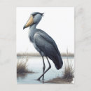 Suche nach stork postkarten Natur