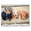 Suche nach jagdhunde kalender Dackel