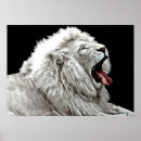 Suche nach dschungeltiere poster Tierwelt