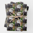 Suche nach raubvögel geschenkpapier Vogelvogel