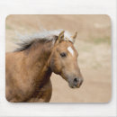 Suche nach wildes pferd mousepads Pferde