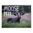 Suche nach elche kalender Wildtiere