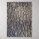 Suche nach tree bark poster Wood