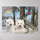 Suche nach westie poster White