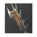 Suche nach schwarzer hintergrund notizblock Niemand