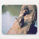 Suche nach klotz mousepads Horizontal