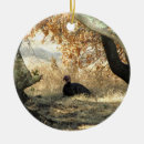 Suche nach wildvogel ornamente Natur