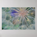 Suche nach seed poster Nature