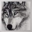 Suche nach schwarz weißer wolf poster Natur