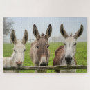 Suche nach nature puzzle Im freien