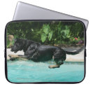 Suche nach schäferhund laptop schutzhüllen Elsässisch