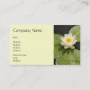 Suche nach weiße lilien visitenkarten Jede person