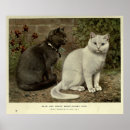 Suche nach katzenmalereien poster Graue katze