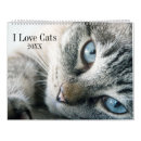 Suche nach liebes kalender Kätzchen