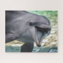 Suche nach delphin puzzle Meereswelt