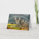 Suche nach tablette postkarten Katze