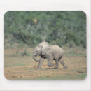 Suche nach südafrika mousepads Natur