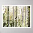 Suche nach birkenwald poster Winter