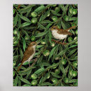 Suche nach olivenbaum poster Blätter