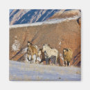 Suche nach lauf magnete Gelb