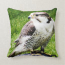 Suche nach raubvogel kissen Falke