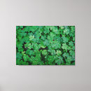 Suche nach kleeblatt leinwandbilder Pflanze