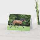 Suche nach stallion karten Pony