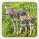 Suche nach canis untersetzer Usa