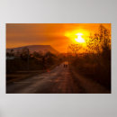 Suche nach große sonne poster Fahrrad