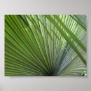 Suche nach wedel poster Botanisch