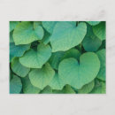 Suche nach adern postkarten Für alle