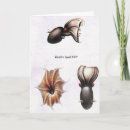 Suche nach tintenfische karten Kraken