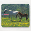 Suche nach lassen sie weiden mousepads Pferd