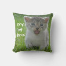 Suche nach meow an kissen Lustig