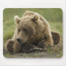 Suche nach braunbär mousepads Alaska