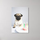 Suche nach lustiger mops leinwandbilder Tier