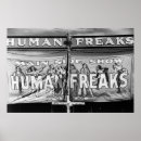 Suche nach freak show poster Sideshow