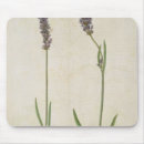 Suche nach veg mousepads Jacques