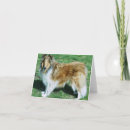 Suche nach zobel karten Collie